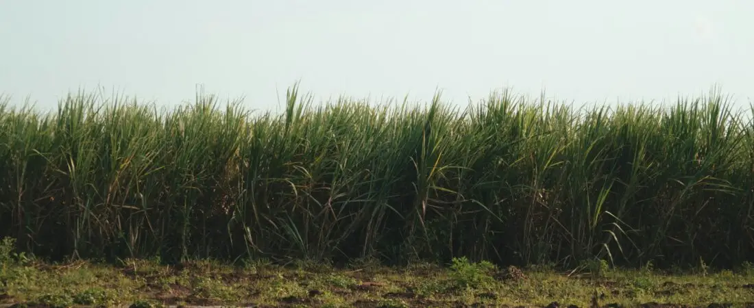 Why is India pushing ethanol blending so aggressively, and what could be its implications?